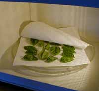 Microwaving is not as good as air drying, but can be used for many herbs.